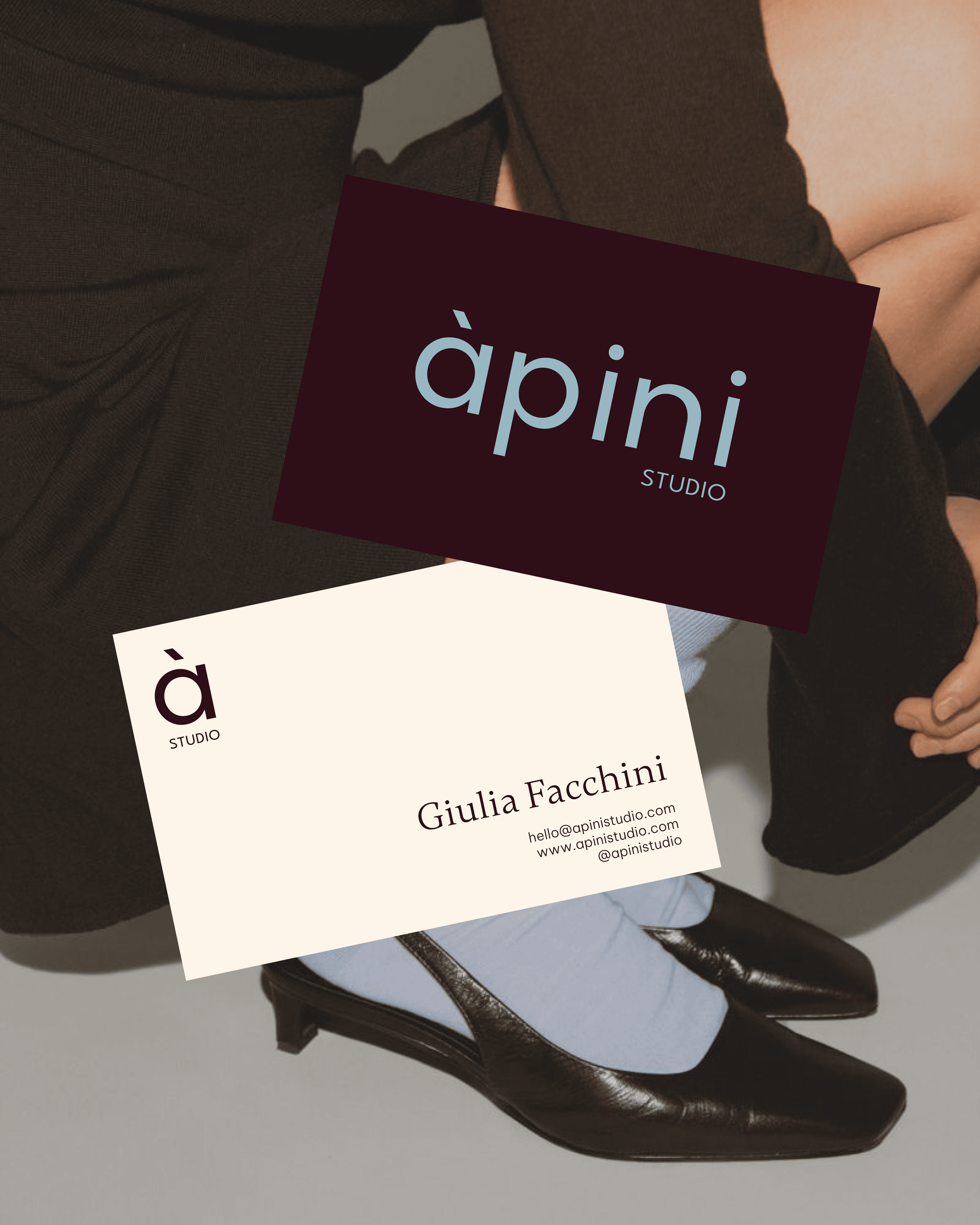 apini-branding-website - Image 1
