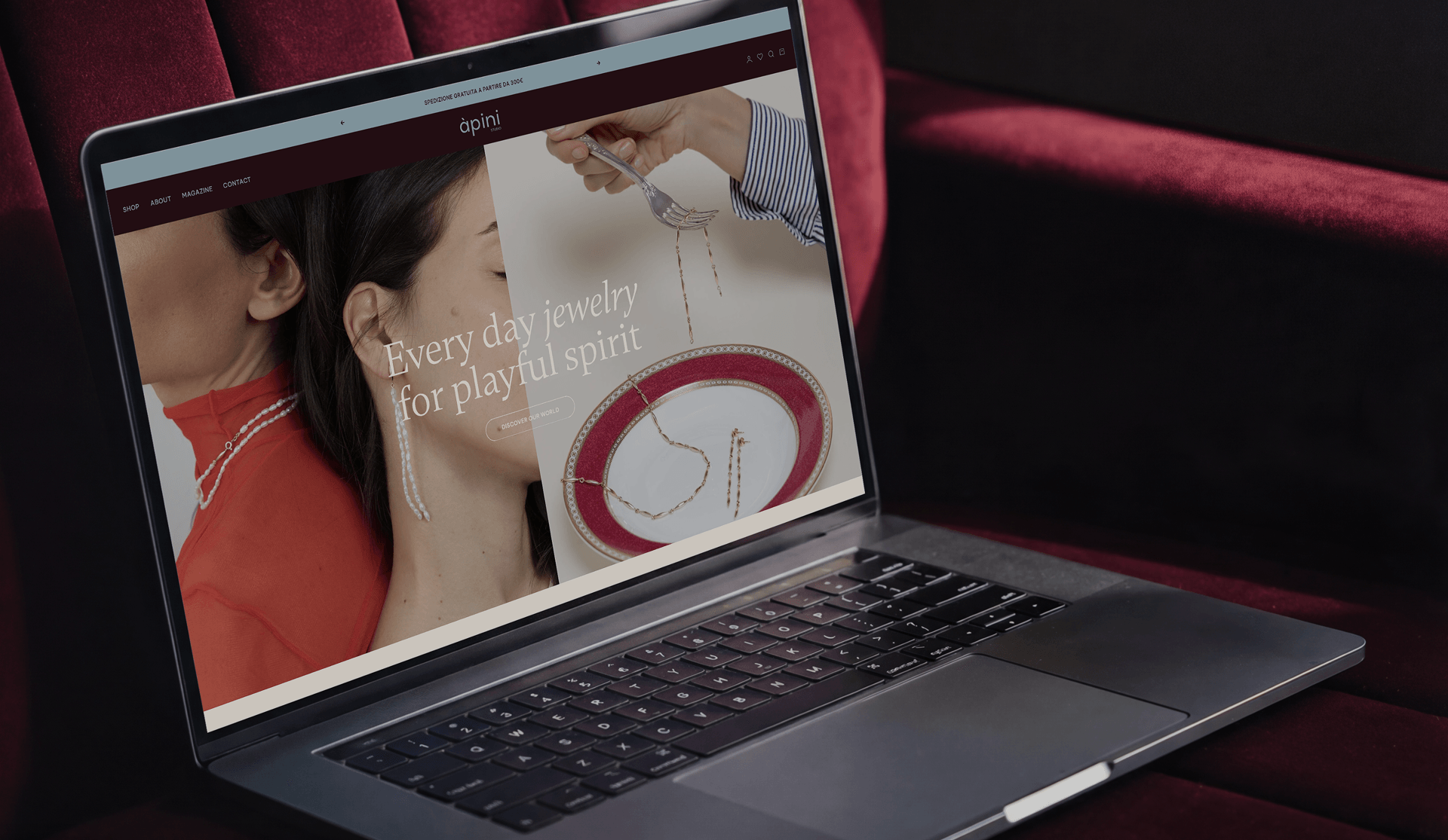 apini-branding-website