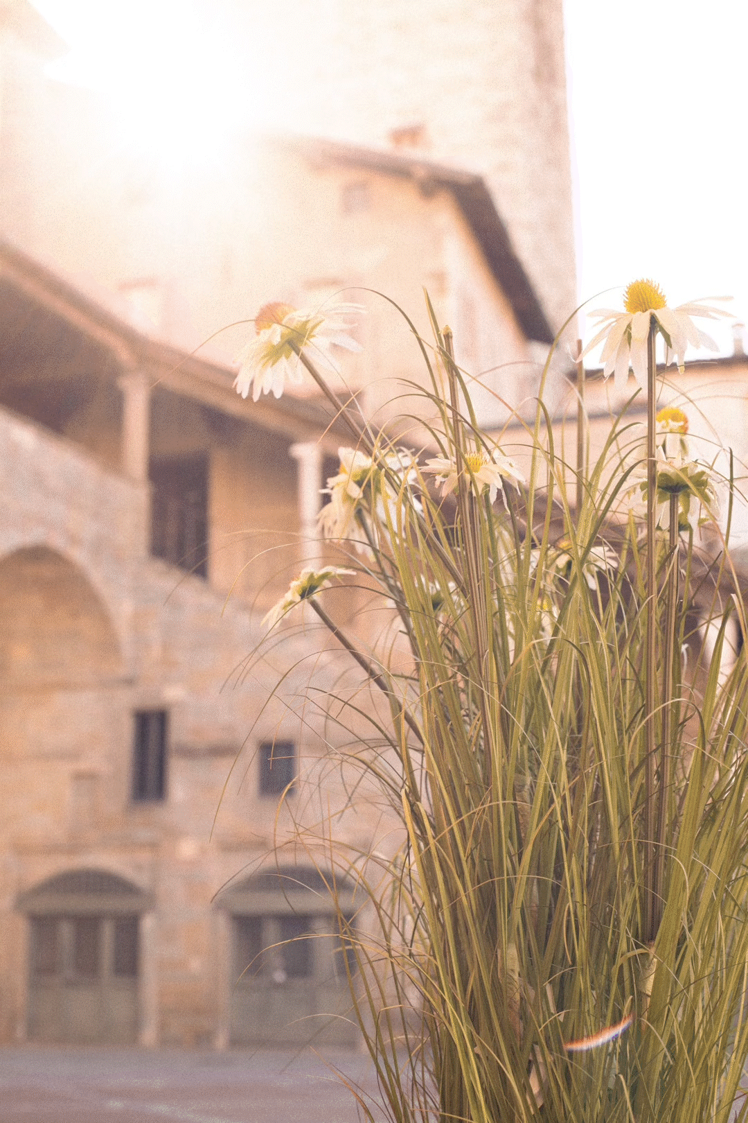 Organizzazione eventi Bergamo
