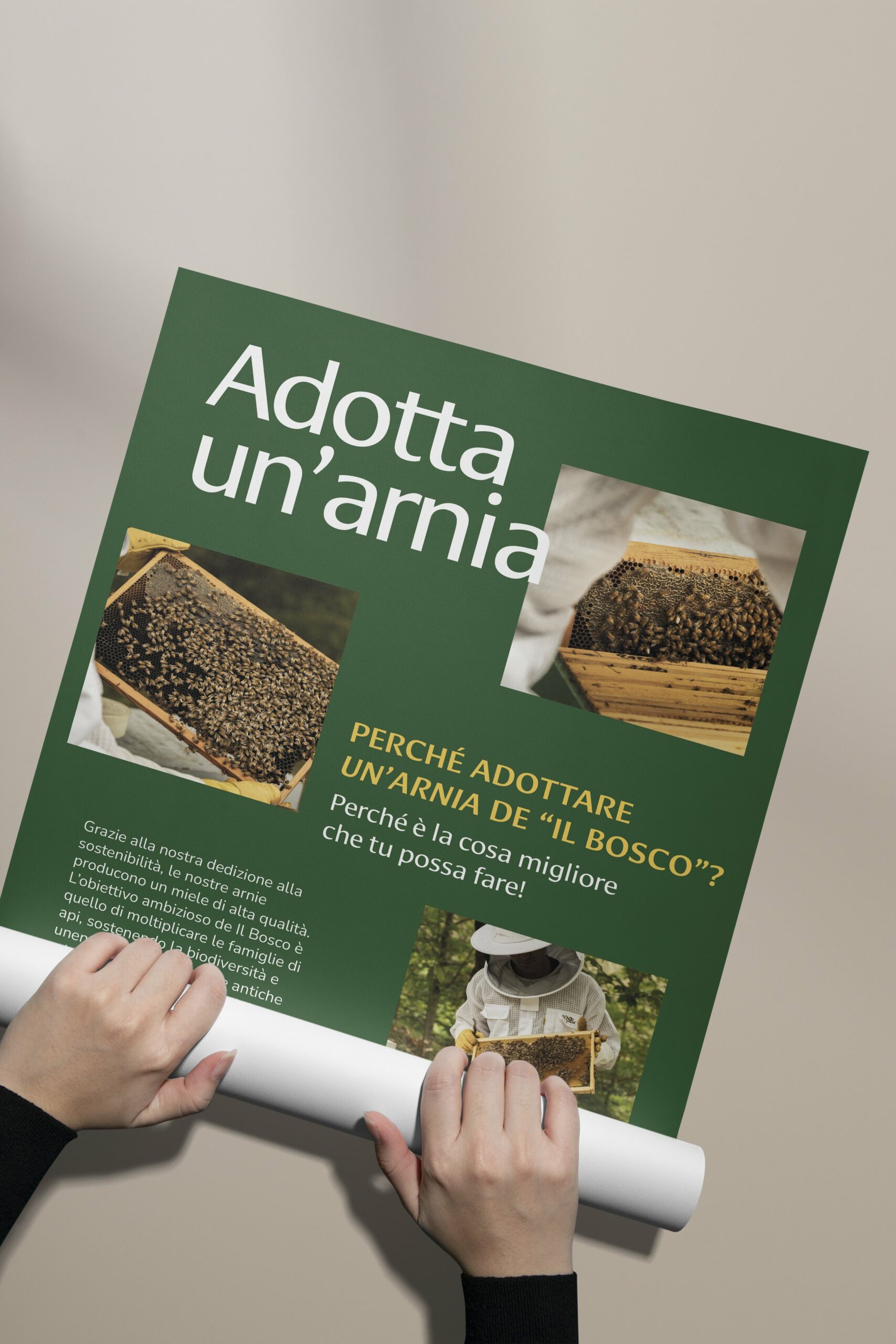 Graphic Design Bergamo